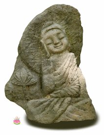 ũ 